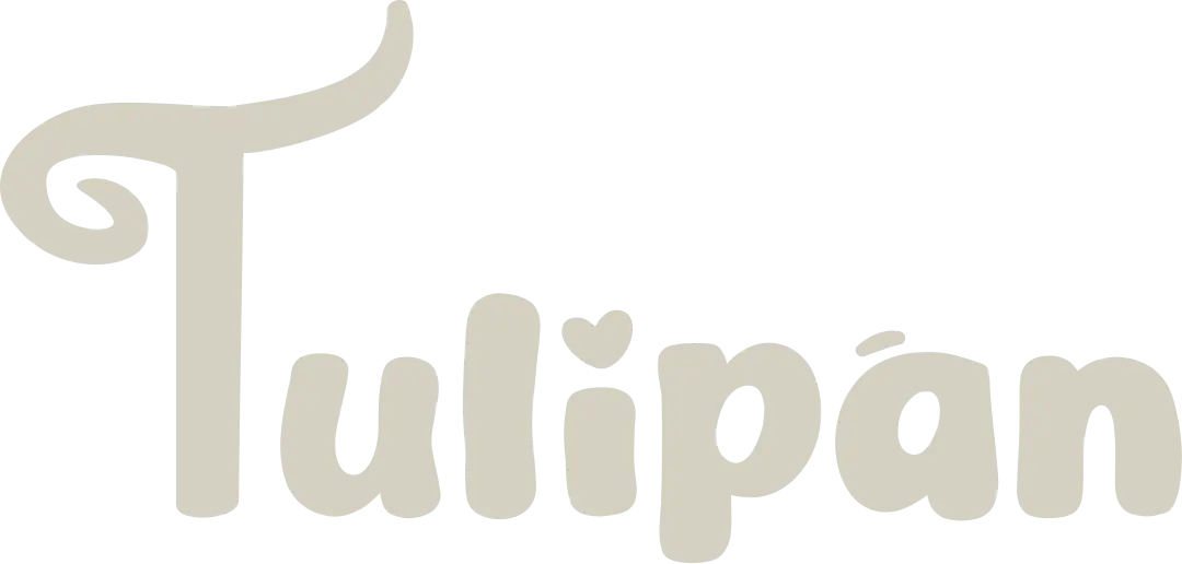 Tulipan